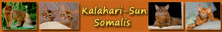 Somalis of Kalahari-Sun